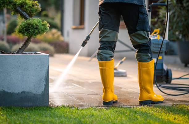 Best Pressure Washing Estimates  in Stevensville, MT